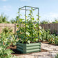 Green raised garden bed with tall trellis and climbing vine plants outdoors