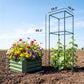 Green raised bed with trellis frame and tomato vines, shown with size guides