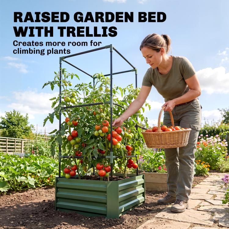 Green raised garden bed with trellis and tomato plants next to a walkway