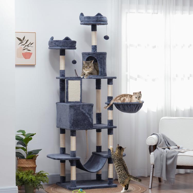 Gray cat tree beside window, showing stacked platforms, condos, and hammock
