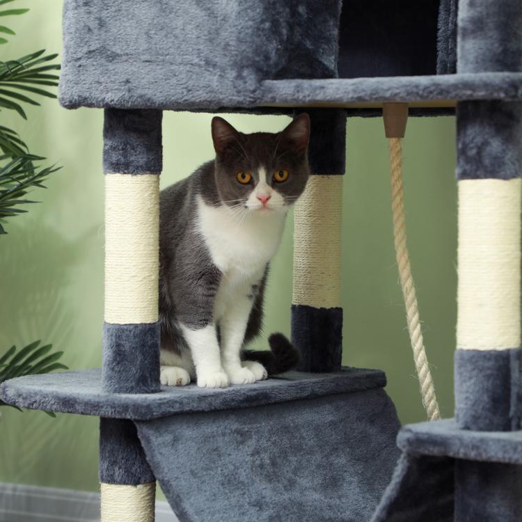 Gray and white cat sitting on top platform of gray cat tree with rope toy