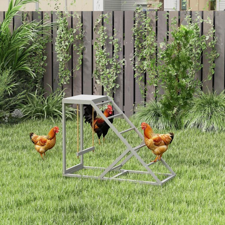 Gray chicken coop toy activity center with ladder ramp and swing perches