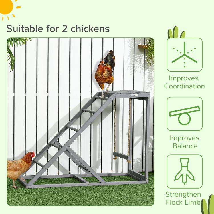 Gray chicken activity center with ladder ramp and perched swing setup