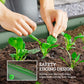 Green metal raised garden bed showing safety edging with hands and seedlings