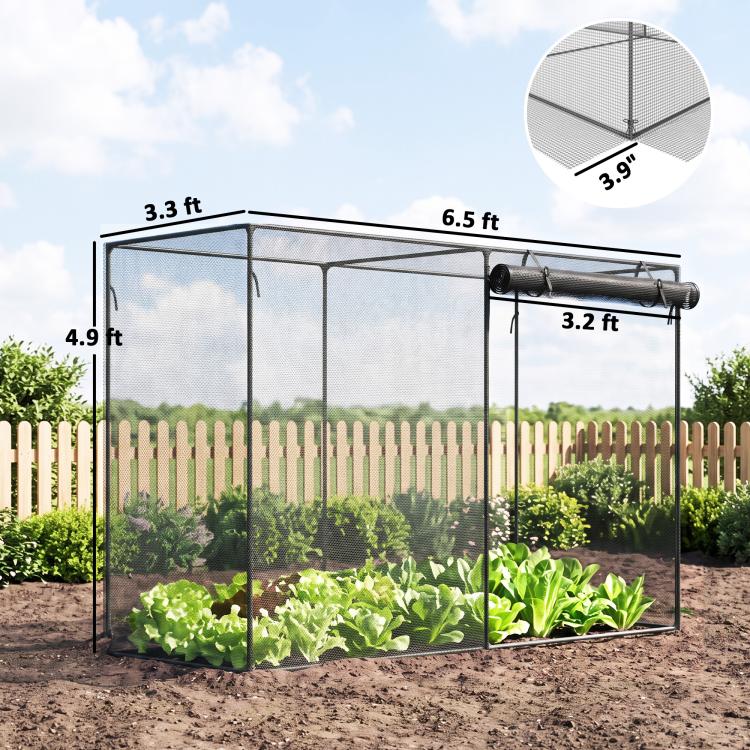 Black pop-up style crop cage with mesh sides and end panel over garden soil