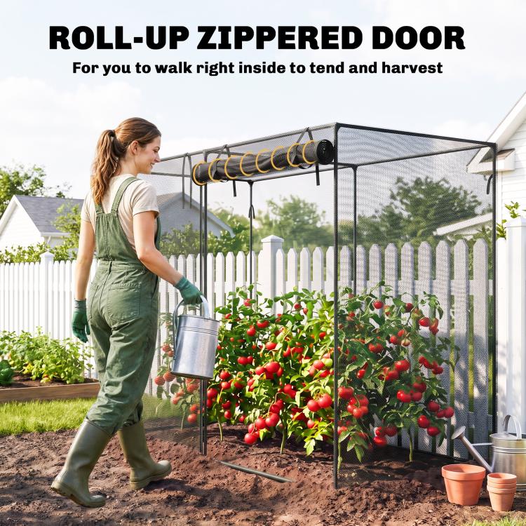 Black mesh crop cage with roll-up zip door over dense tomato plants