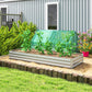 Silver galvanized raised garden bed with trellis netting and leafy seedlings