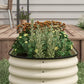 Cream metal raised garden bed with black safety edging, filled with soil and plants
