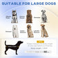 Green pet sofa bed with padded top, shown with large-dog sizing guide
