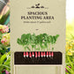 Cream raised garden bed with soil and seedlings, metal planter frame with legs