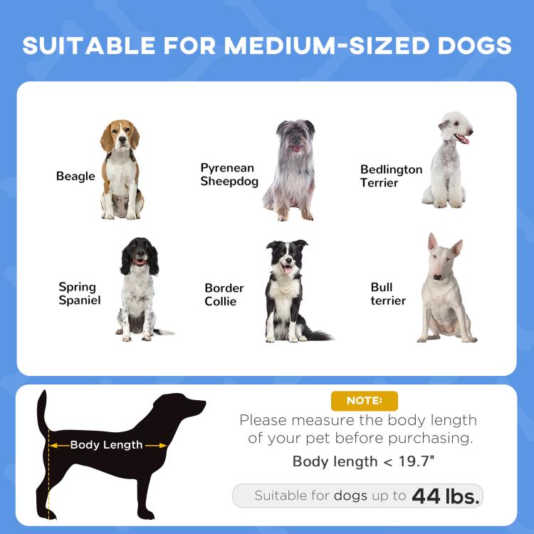 Dog size suitability chart showing breed silhouettes for medium-sized dogs