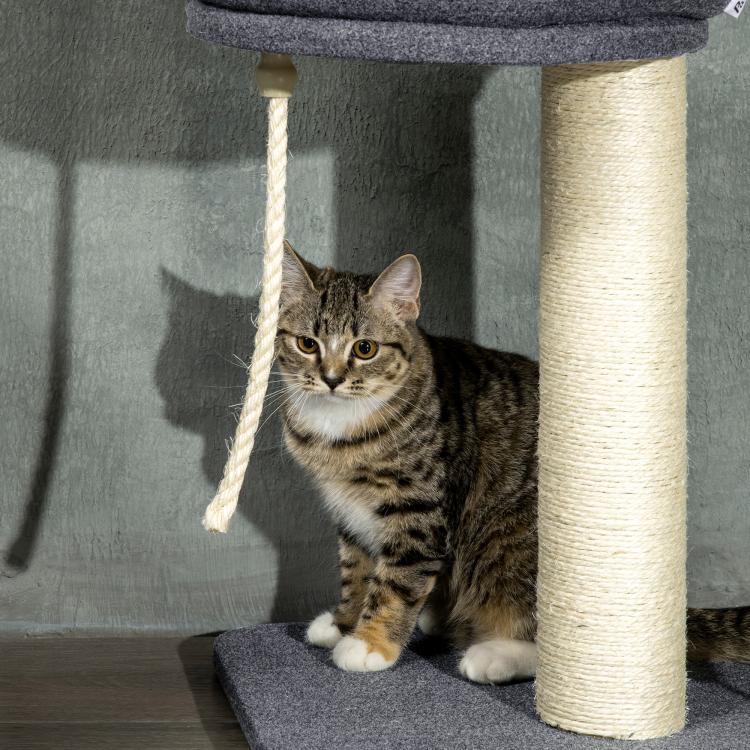 Cat climbing tree with carpet platforms, dangling rope, and beige scratching posts