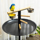 Bird feeder stand close-up with two stainless bowls, wooden perches and round black tray
