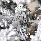 Snow-frosted fir branches with warm LED lights, close-up