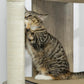 Cream white cat tree with sisal scratching post, with a tabby cat resting