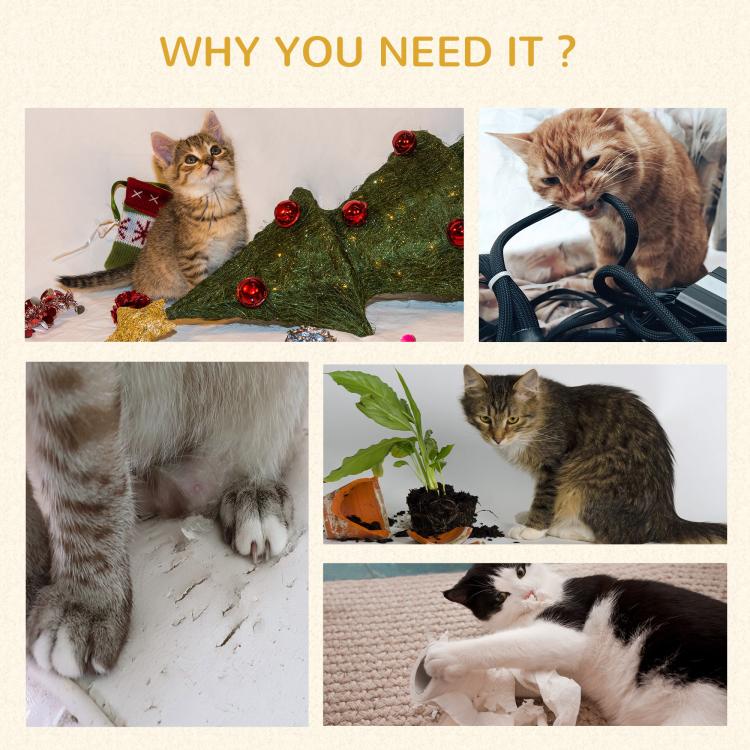 Cat lifestyle photo collage showing cats playing and resting on different surfaces