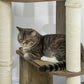 Tabby cat lounging on dark wood mid perch with cream scratching posts