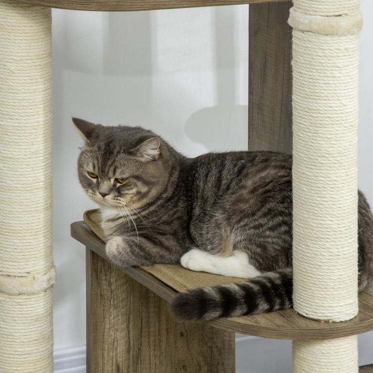 Tabby cat lounging on dark wood mid perch with cream scratching posts