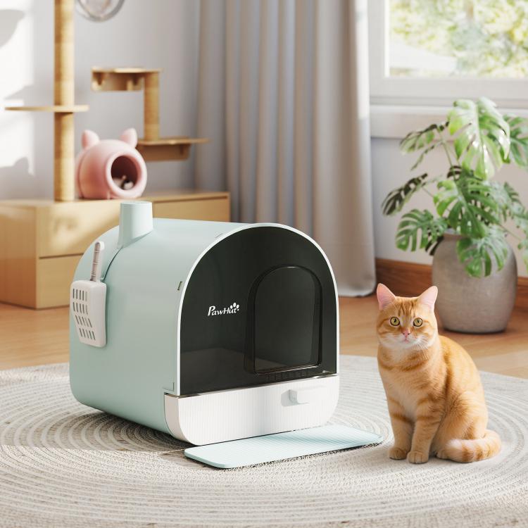 Light blue covered cat litter box with black door beside an orange tabby cat