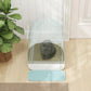 Open tray view of light blue enclosed cat litter box with gray cat inside