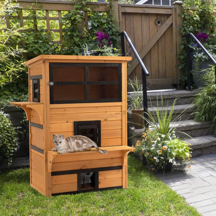 Wooden outdoor 3-tier cat shelter with large windows and lower escape door; cat resting