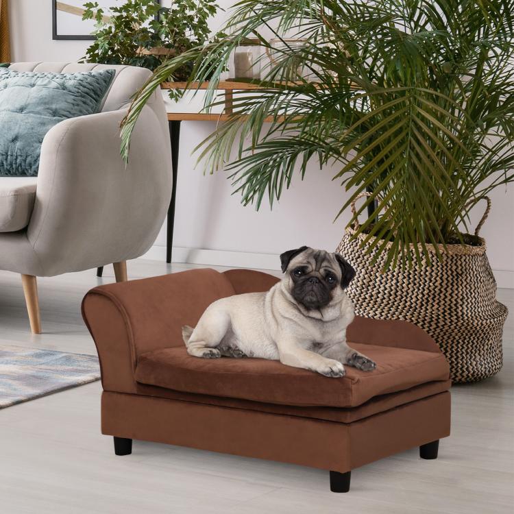 Brown pet sofa bed couch with padded cushions and low legs; dog resting on seat.