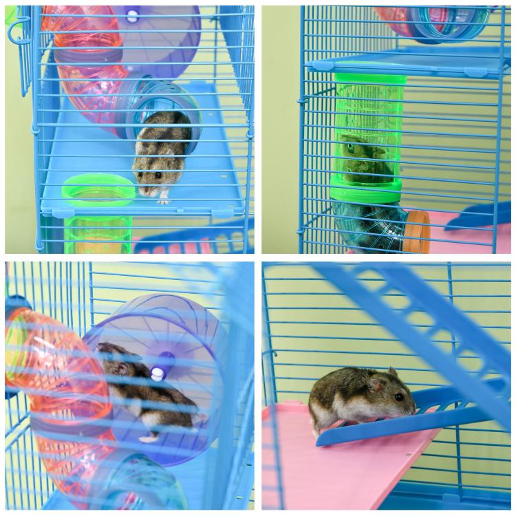 Hamster cage close-ups showing colorful tubes and platforms with small pet inside