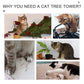 Cats play and scratch on cat tree platforms, hammock, and scratching posts
