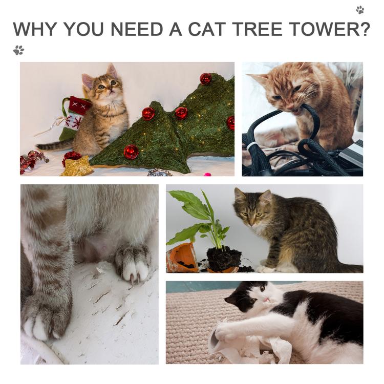 Cats play and scratch on cat tree platforms, hammock, and scratching posts