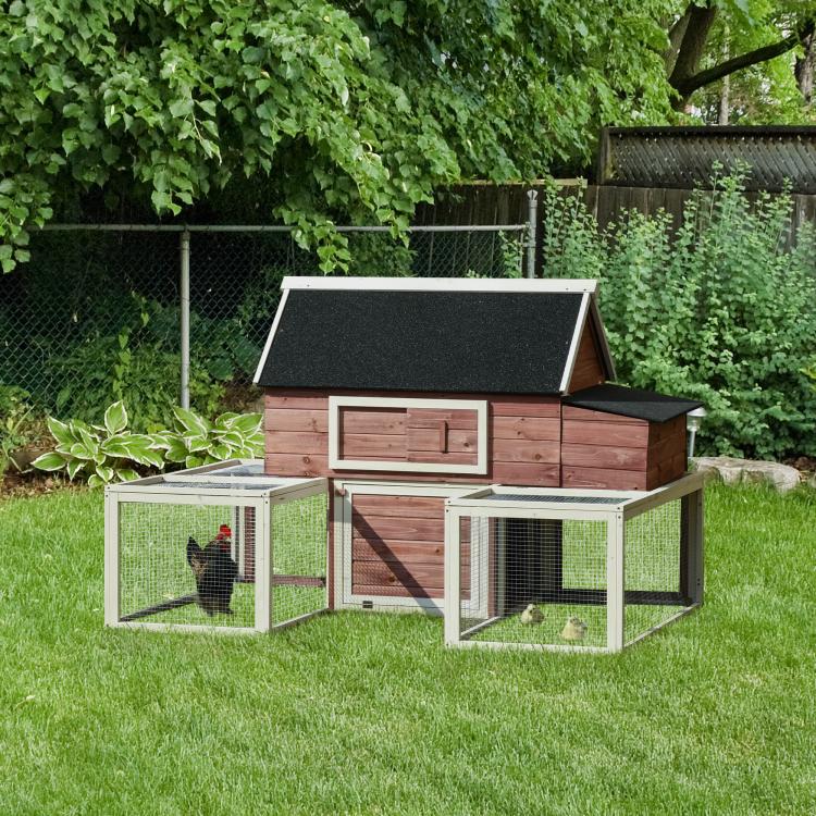 Wooden chicken coop with dark roof, fenced sides, and small side access enclosure
