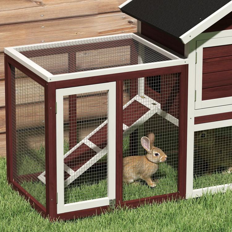 Rabbit hutch corner with ramp, wire mesh pen, and a rabbit at the door
