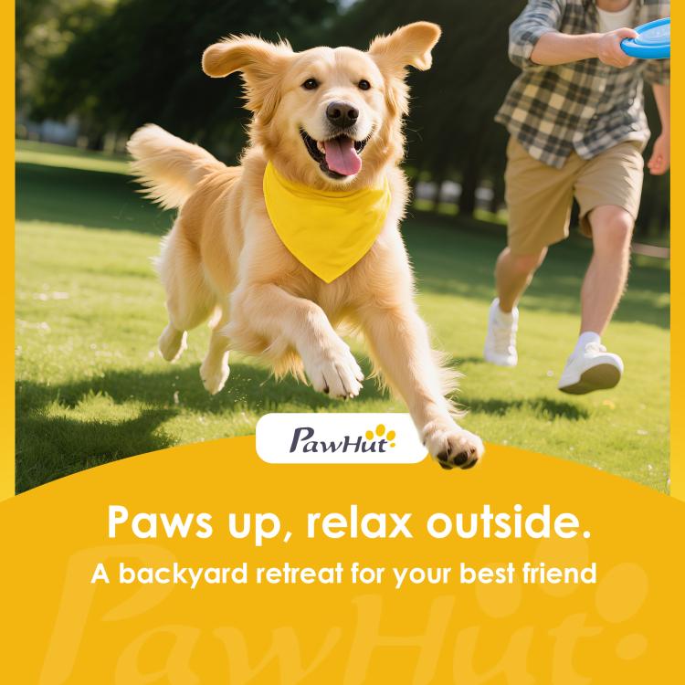 Portable pet ramp promo with dog on grass and PawHut logo