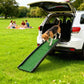 Dog ramp for vehicle cargo area, green non-slip mat with black raised side rails