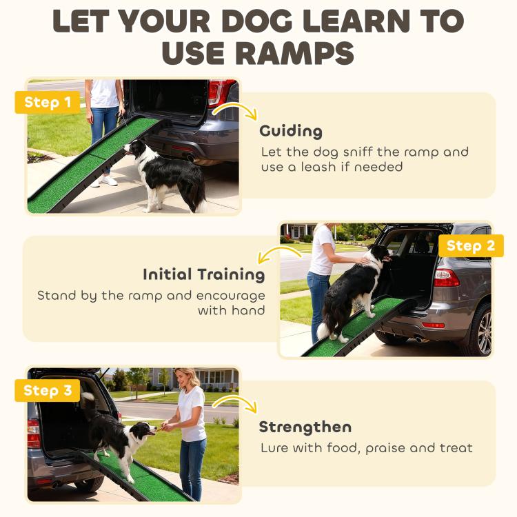 Training pet ramp with green non-slip surface and raised side rails for dog access