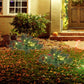 Pre-lit artificial Christmas tree with warm white lights and red berry details in front yard