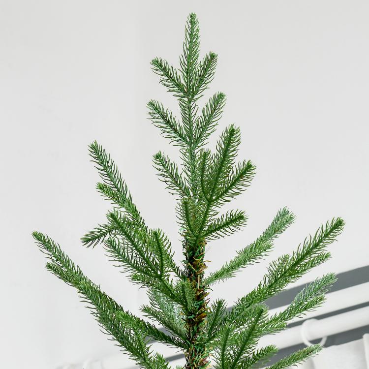 Close-up of green artificial pine branches and needle tips on central stem