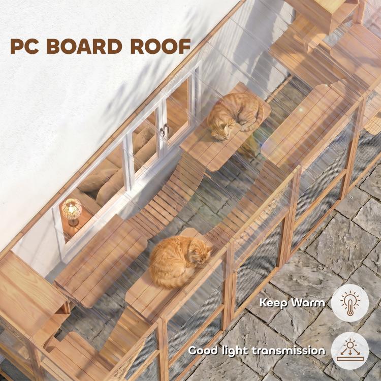 Wooden cat enclosure with slanted PC board roof panel and mesh sides for two cats