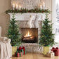 Pair of prelit tabletop Christmas trees decorated with green needles and multicolor lights.
