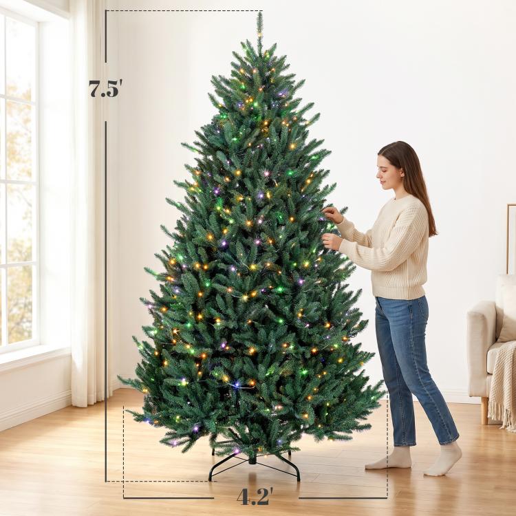 Prelit Colorado blue spruce Christmas tree with hinged stand as a person adjusts branches