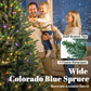 Artificial Christmas tree with lit branches, 3409 branch tips, flame-retardant design