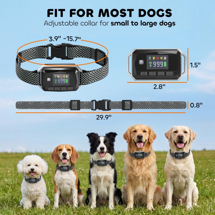 Dog training collar set with patterned strap, receiver display, and size guide layout