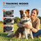 Dog wearing GPS training collar receiver with patterned strap, held by a person