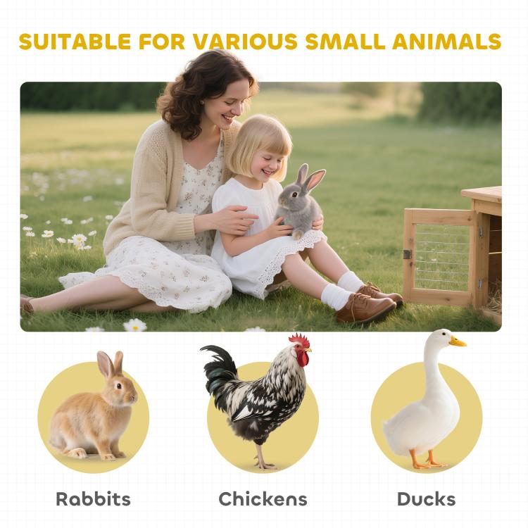 Outdoor small animal hutch for rabbits, chickens, and ducks