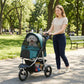 Small pet stroller with dark green canopy, black seat, and adjustable handle