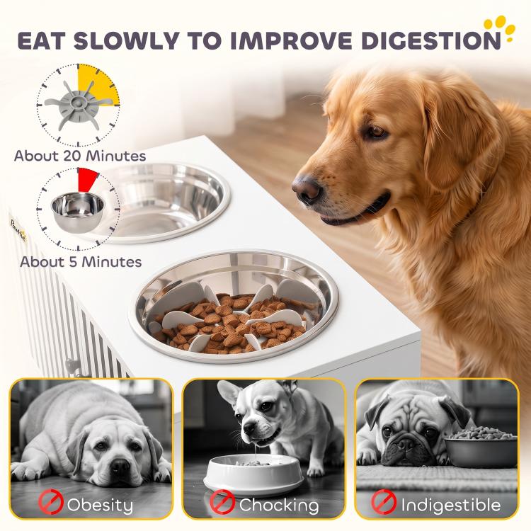 Golden retriever eating from a slow-feeder bowl on a white elevated dog feeding station