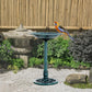 Outdoor bird bath pedestal with teal bowl; colorful bird perched on rim