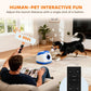 Blue and white dog ball launcher with ball and remote control near playing dog indoors