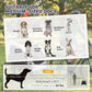 White pet trailer stroller with mesh front door and seated dog, outdoors