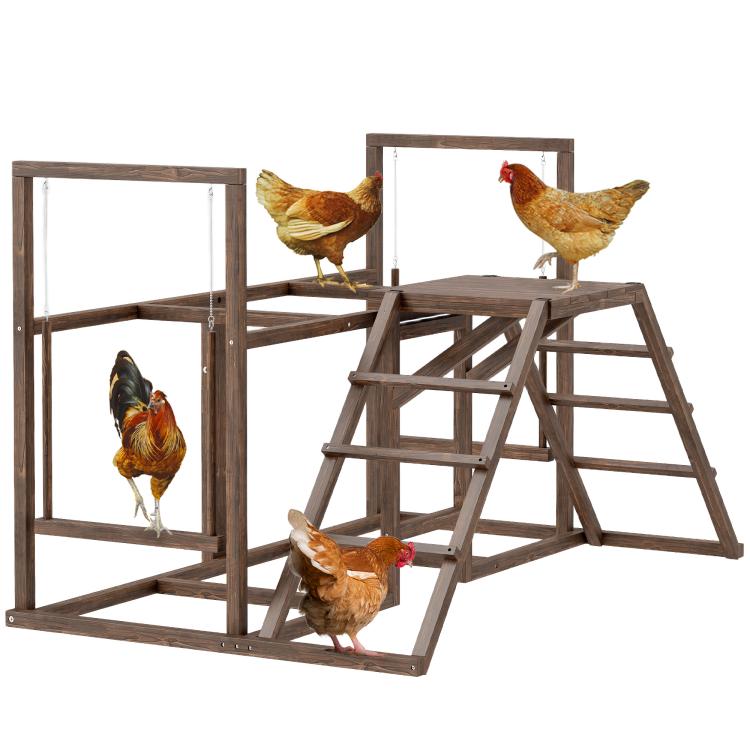 Chicken activity play set with raised platforms, ladder, and swing, with roosting chickens