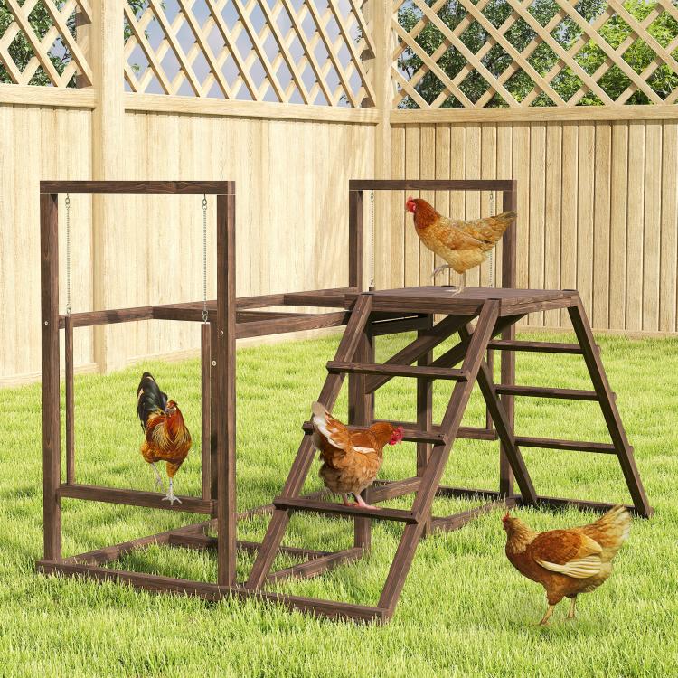 Chicken activity play set in yard with wooden ladder, platform, and perches for hens